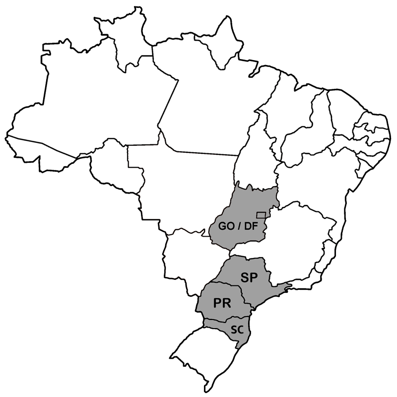 Mapa estilizado do Brasil
